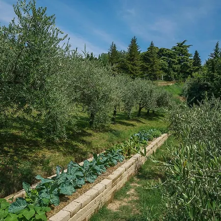 Hotel Cà Toresele Relais Osteria Garden 3*