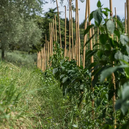Cà Toresele Relais Osteria Garden Verona